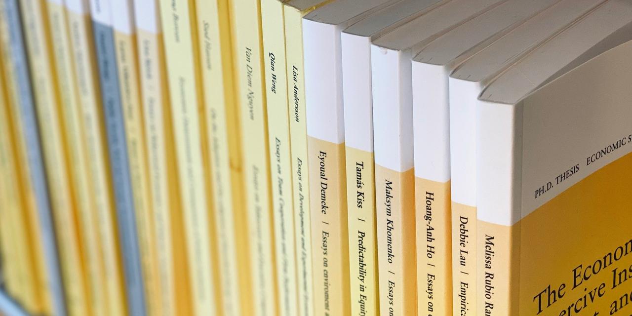 PhD Thesis Economics writing help: How to write the Final Milestone