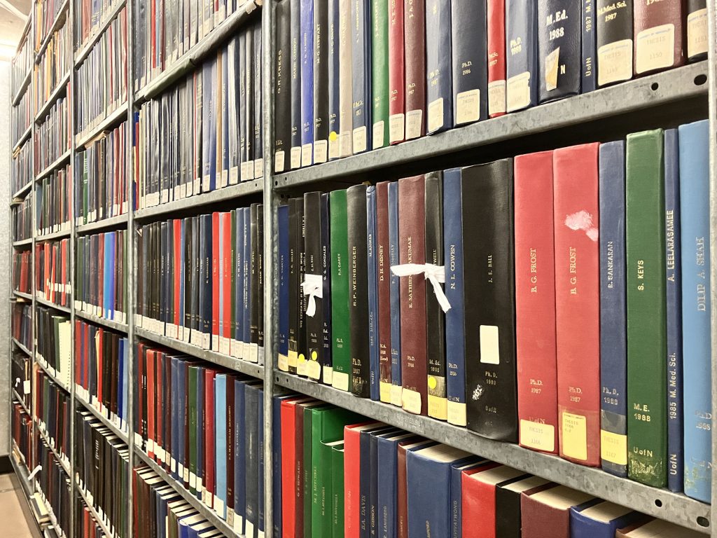 The Special Problems of an Economics Dissertation
