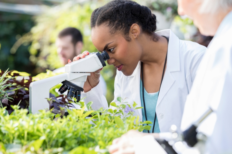 Environmental Management journal: Scope and Submission